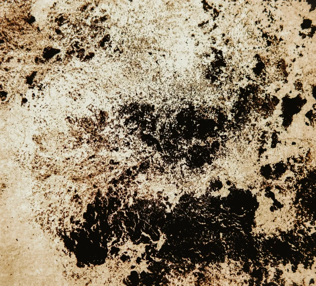 functionalized graphene slide